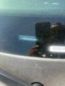 Thumbnail of 2024 Steel Gray Kia Soul