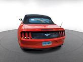 Thumbnail of 2023 Race Red Ford Mustang