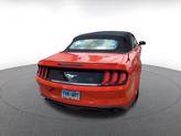 Thumbnail of 2023 Race Red Ford Mustang