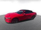 Thumbnail of 2023 Race Red Ford Mustang