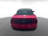 Thumbnail of 2023 Race Red Ford Mustang