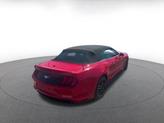 Thumbnail of 2023 Race Red Ford Mustang