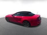 Thumbnail of 2023 Race Red Ford Mustang