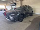 Photo of 2025 Cloudburst Gray Lexus NX 350