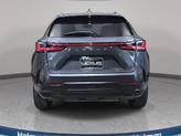 Thumbnail of 2024 Cloudburst Gray Lexus NX 350h