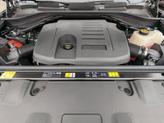 Thumbnail of 2025 Belgravia Green Land Rover Range Rover