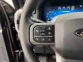 Thumbnail of 2025 Agate Black Metallic Ford F-150