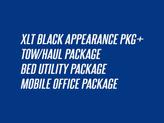 Thumbnail of 2024 Agate Black Metallic Ford F-150