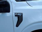 Thumbnail of 2023 Oxford White Ford F-150