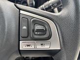 Thumbnail of 2017 Ice Silver Metallic Subaru Forester