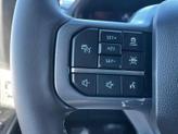 Thumbnail of 2025 Carbonized Gray Metallic Ford F-150