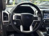 Thumbnail of 2019 MAGNETIC Ford F-150