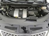 Thumbnail of 2021 Green Lexus RX 350