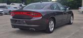 Thumbnail of 2023 Granite Pearlcoat Dodge Charger