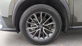 Thumbnail of 2023 Nori Green Pearl Lexus NX 250