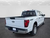 Thumbnail of 2025 Oxford White Ford F-150