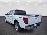 Thumbnail of 2025 Oxford White Ford F-150