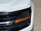 Thumbnail of 2025 Oxford White Ford F-150