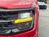 Thumbnail of 2025 Red Metallic Ford F-150