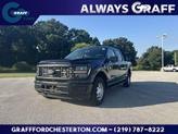 Photo of 2025 Agate Black Metallic Ford F-150