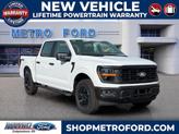 Photo of 2025 Oxford White Ford F-150