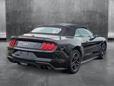 Thumbnail of 2021 Shadow Black Ford Mustang