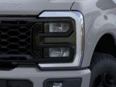 Thumbnail of 2026 Avalanche Ford F-250
