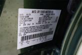 Thumbnail of 2025 Eruption Green Metallic Ford Mustang Mach-E