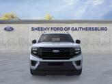Thumbnail of 2025 Gray Ford Expedition