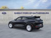 Thumbnail of 2025 Shadow Ford Mustang Mach-E