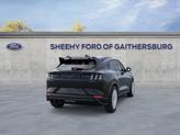 Thumbnail of 2025 Shadow Ford Mustang Mach-E