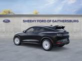 Thumbnail of 2025 Shadow Ford Mustang Mach-E