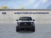 Thumbnail of 2025 Shadow Ford Maverick