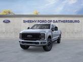 Thumbnail of 2025 Gray Ford F-350