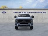 Thumbnail of 2025 Gray Ford F-350