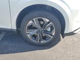 Thumbnail of 2025 Everest White P Nissan Murano