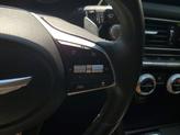 Thumbnail of 2023 Tasman Blue Genesis G70
