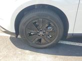 Thumbnail of 2025 Everest White P Nissan Murano