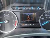 Thumbnail of 2019 Magnetic Ford F-250