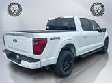 Thumbnail of 2025 Oxford White Ford F-150