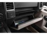 Thumbnail of 2015 Magnetic Ford F-150