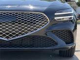 Thumbnail of 2025 Vik Black Genesis G70