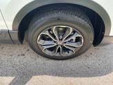 Thumbnail of 2022 NH 883 Honda CR-V