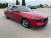 Photo of 2024 Radiant Red Metallic Honda Accord