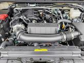 Thumbnail of 2025 Glacier White Nissan Frontier