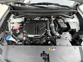 Thumbnail of 2022 Wolf Gray Kia Sorento