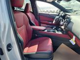 Thumbnail of 2025 Eminent White Pearl Lexus NX 250