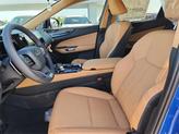 Thumbnail of 2025 Grecian Water Lexus NX 250