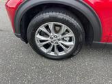 Thumbnail of 2022 Rapid Red Metallic Tinted Clearcoat Ford Explorer