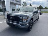 Thumbnail of 2023 Carbonized Gray Metallic Ford F-150